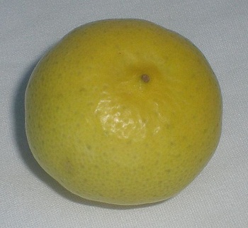 key-lime-fruit